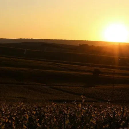 Lys'appart Hyper Centre Proche De ! * Reims