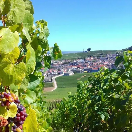 Lys'appart Appartamento Reims