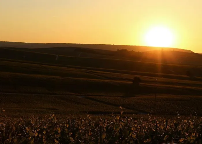 Lys'appart Hyper Centre Proche De ! * Reims