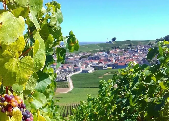 Lys'appart Hyper Centre Proche De ! Appartement Reims