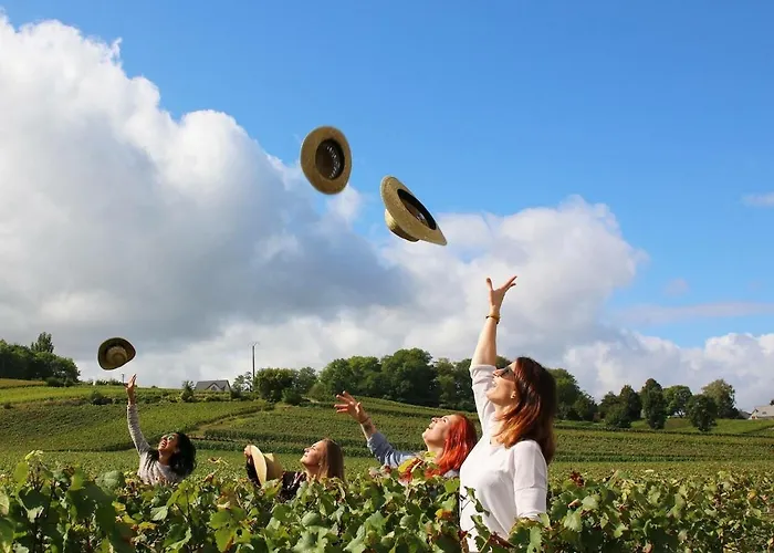 Lys'appart Hyper Centre Proche De ! *