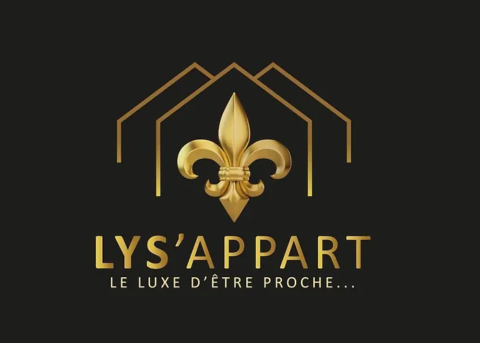 Lys'appart Hyper Centre Proche De ! Appartement Reims